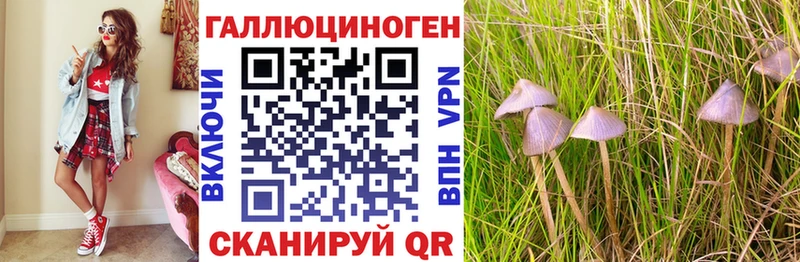 Псилоцибиновые грибы GOLDEN TEACHER  цены   Тогучин 